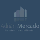 ADRIAN MERCADO SUBASTAS