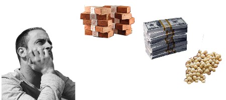 REAL ESTATE ARGENTINA Y CRISIS FINANCIERA GLOBAL