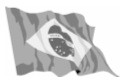 BANDERA BRASIL