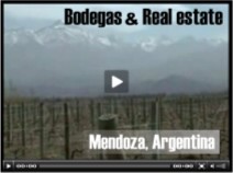 BODEGAS EN MENDOZA