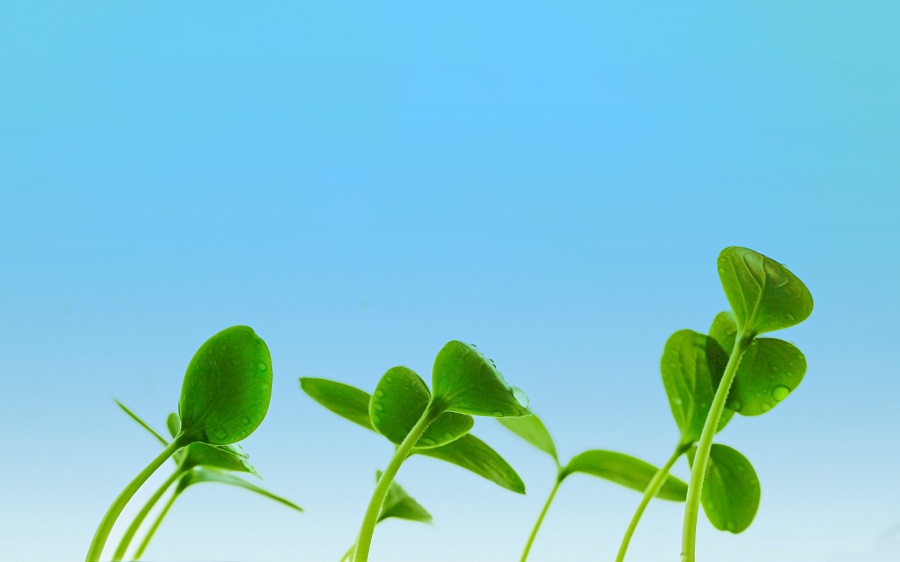 Siguen creciendo las escrituras