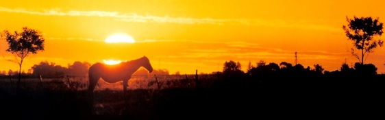 Valores de campos en Argentina