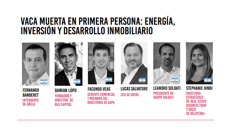Expo Real Estate. Panel: Vaca Muerta