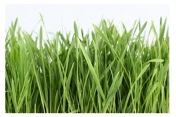 evolución costo construcción casa barrio privado abril 2021